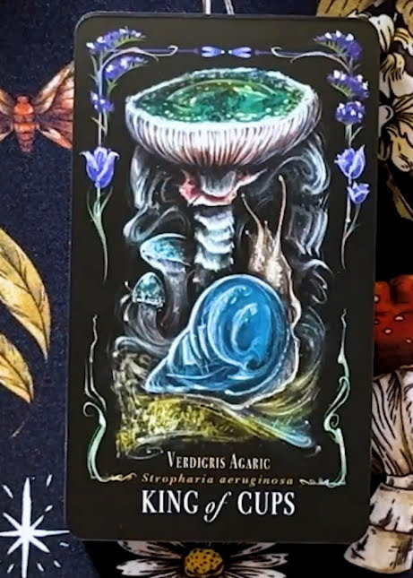 Midnight Magic: A Tarot Deck of Mushrooms